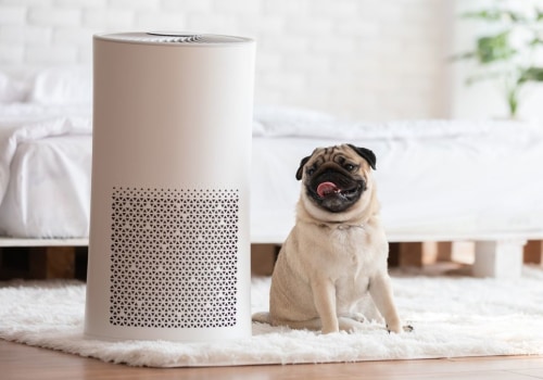 Are Ionizers Safe for Pets? - A Guide for Pet Owners