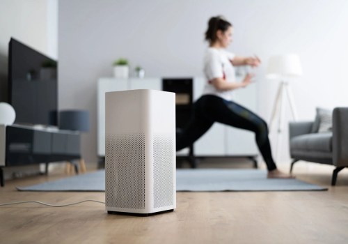 What is the Difference Between an Ionizer and an Air Purifier? - A Comprehensive Guide